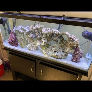 Meet your Posher, Joe